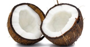 proprietà , usi e benefici del cocco